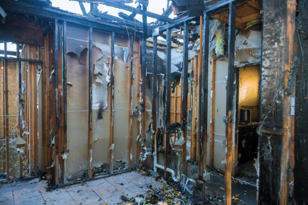 Professional Fire Damage Removal technician working in Bristow, VA
